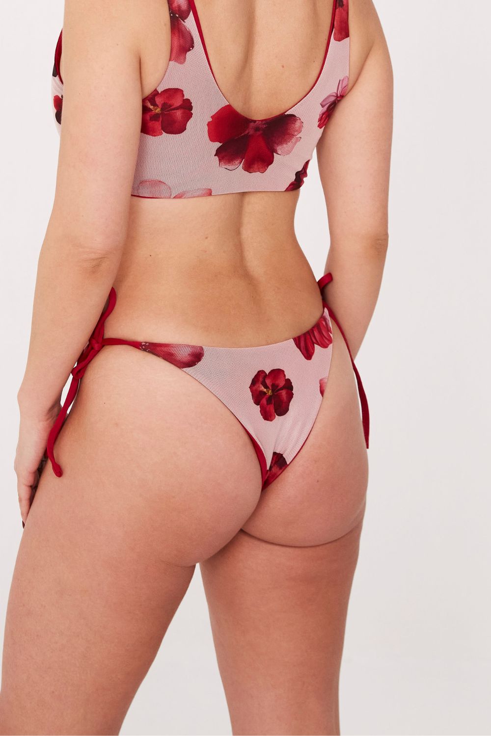 Bottom Totoritas Magnolias mesh