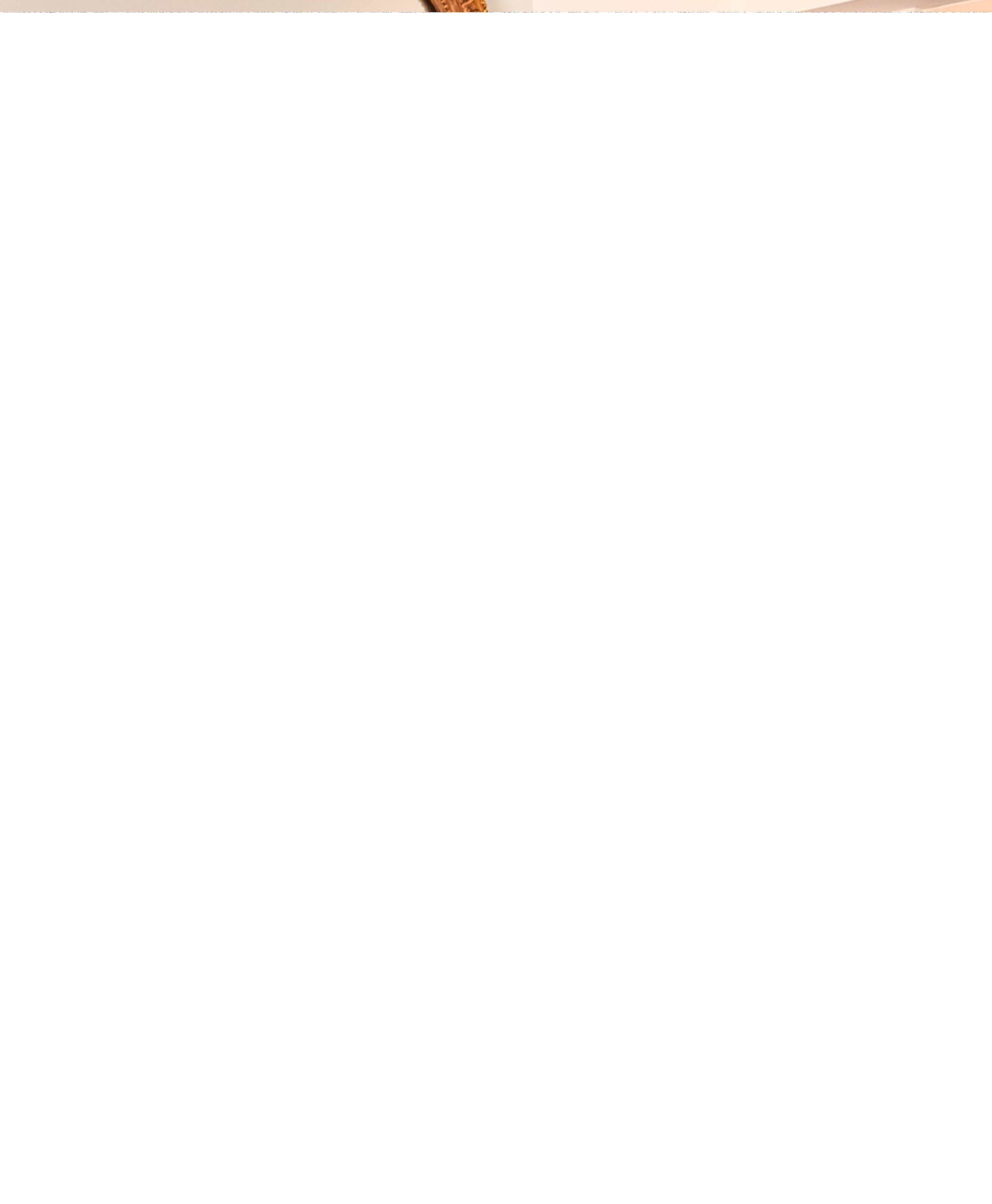 Polo Básico Nude